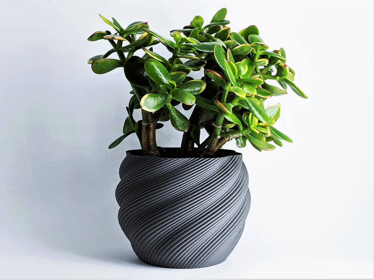 GeoPlanter Pot 005