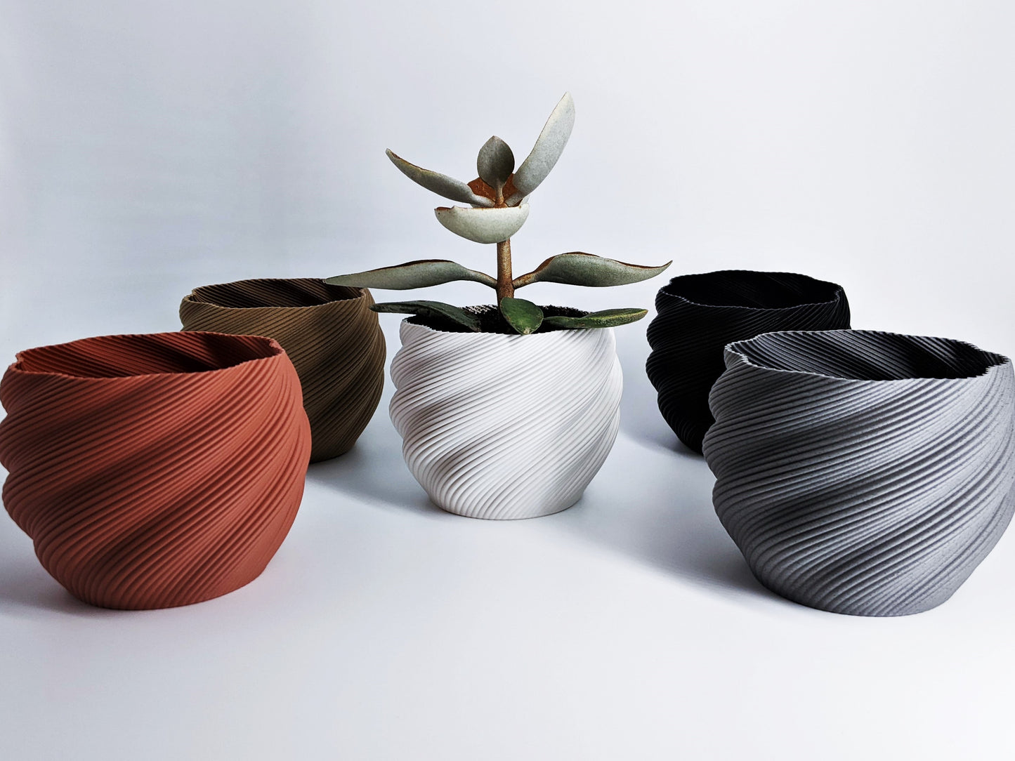 GeoPlanter Pot 005