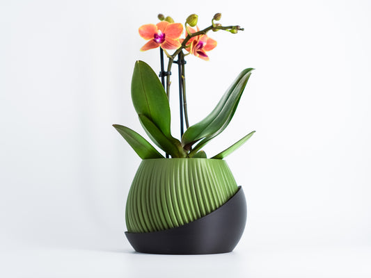 GeoPlanter Pot 004