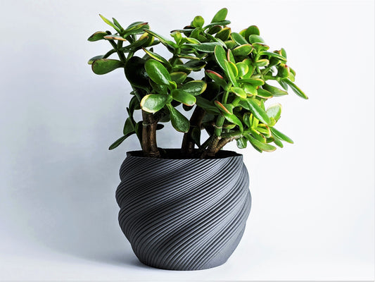 GeoPlanter Pot 005