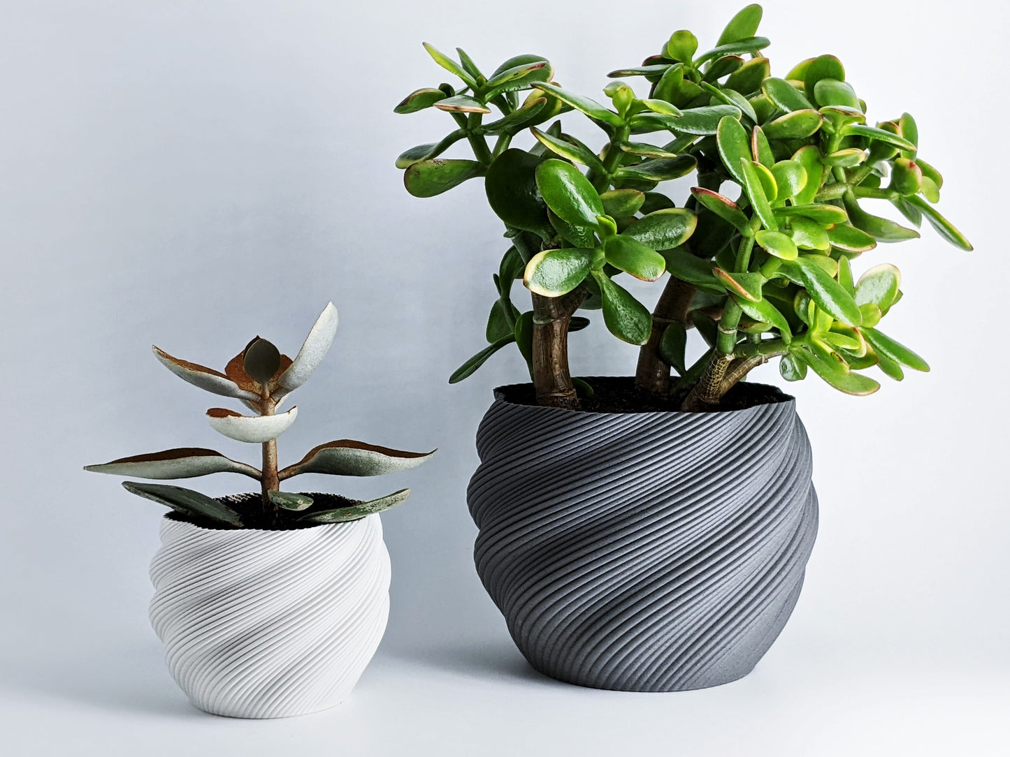 GeoPlanter Pot 005